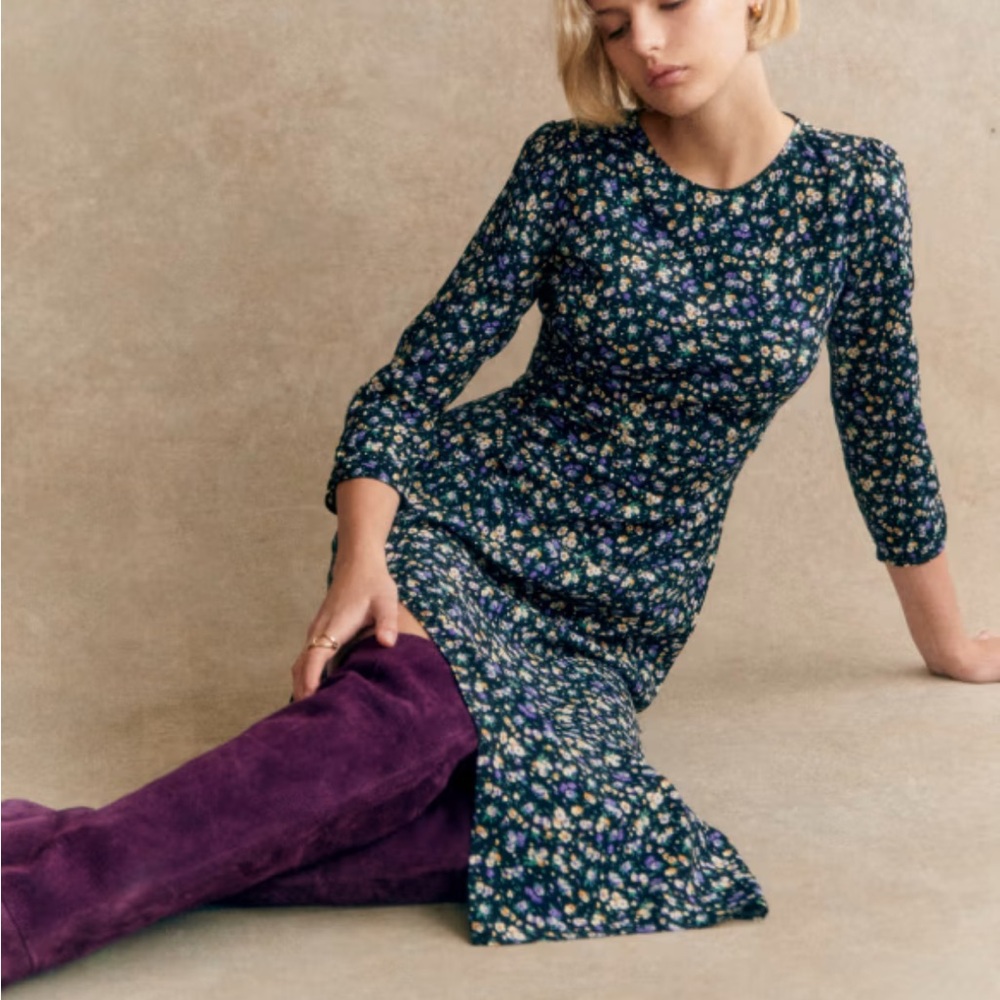 NWT Sezane Themis Dress in Liberta Print